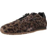 Kengät Cetti  Sport   Zapatillas Mujer Modèle C1379 Inv26  36