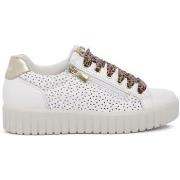 Kengät IgI&CO  1145700  36