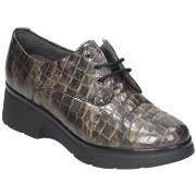 Kengät Pitillos  110738  36