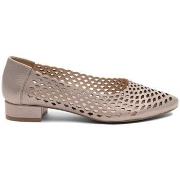 Balleriinat Maciejka  11072GOLD  36