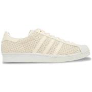 Kengät adidas  Superstar  42