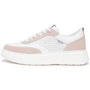 Kengät NeroGiardini  Velour Cile Cile T.Brill Platino 607  37