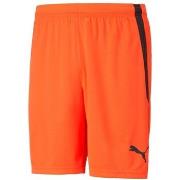Shortsit & Bermuda-shortsit Puma  TeamLiga  EU L