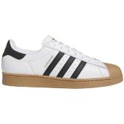 Kengät adidas  Superstar Adv  44