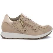 Kengät IgI&CO  1151511  36