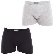 Bokserit Abanderado  A5378-CC2  EU L