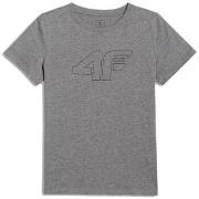 Lyhythihainen t-paita 4F  KOSZULKA4FM2417REDNISZARYMELAN152  Yksi Koko