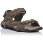 Sandaalit Chiruca  SANDAALIT  TARIFA 02  40