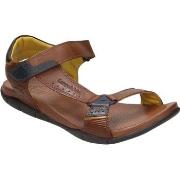 Sandaalit Kangaroos  115852  40