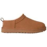 Kengät UGG  1173891 CHE  36