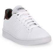 Kengät adidas  Advantage Base  44