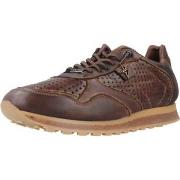 Kengät Cetti  Sport   Zapatillas Hombre Modèle C848 Inv26  40