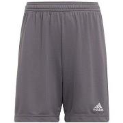 7/8 ja 3/4 housu adidas  Entrada 22  EU S
