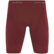 Shortsit & Bermuda-shortsit Errea  Denis Bermuda Jr  EU XS