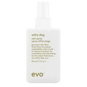 Evo Salty Dog Salt Spray 50 ml