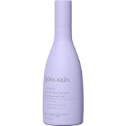 Björn Axén Cool Blonde Coloring Silver Shampoo 250 ml