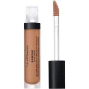 bareMinerals BarePro All Over Skin Perfecting Conceal Medium 300 Cool ...