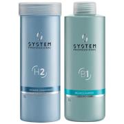 System Professional Hydrate Conditioner & Balance Scalp Shampoo