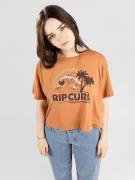 Rip Curl Rainbow Waves Crop T-Paita ruskea