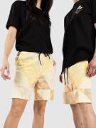 Stance Shelter Shortsit ruskea