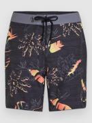 O'Neill Hyperfreak Mysto Scallop 19" Surffishortsit musta