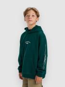 Quiksilver Stretch Tribal Kids Huppari vihreä
