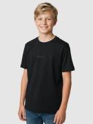 Blue Tomato Mini Logo Kids T-Paita harmaa