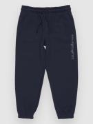 Quiksilver Graphic Jogger Kids Housut sininen
