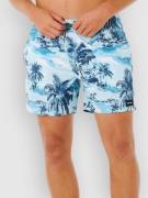 Rip Curl Dreamers Volley Surffishortsit sininen