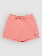 Everyday Flex Volley 15 Shortsit