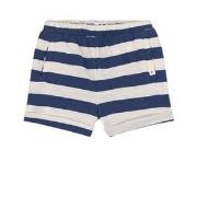 Absorba Striped Shorts Indigo 18 Months