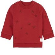 Absorba Printed Sweatshirt Carmine Red