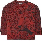 Dolce & Gabbana Tiger Detail Sweatshirt Red 4 years