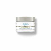 Kiehl's Rare Earth Deep Pore Cleansing Masque 28 ml