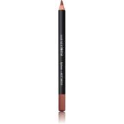 Sandstone Lipliner Hot Mess