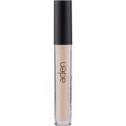 Aden Liquid Concealer Light 01