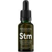 Madara Custom Active Plant Stem Cell Concentrate 17,5 ml