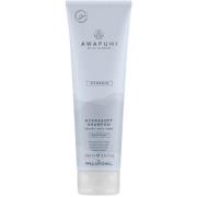 Paul Mitchell Awapuhi Wild Ginger Hydrasoft Shampoo 250 ml