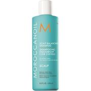 Moroccanoil Scalp Balancing Shampoo  250 ml