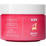 YOPE Bounce Boost My Hair  Mask For Damaged Hair 250 ml