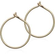 Blomdahl Golden Titanium Ear Ring 12 mm