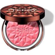 By Terry Tea to Tan Powder Blush N3 Pink Passion
