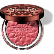 By Terry Tea to Tan Powder Blush N6 Spicy Song