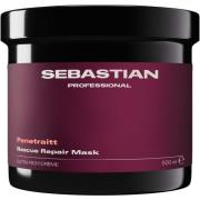 Sebastian Professional Penetraitt Rescue Repair Mask 500 ml