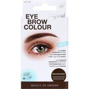 Depend Perfect Eye Eyebrow Colour Brown Black