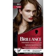 Schwarzkopf Brillance  Hair Color 862 Natural Brown