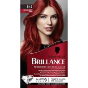 Schwarzkopf Brillance  Hair Color 842 Cashmere Red