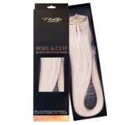 Poze Hairextensions Poze Standard Flip & Go Platinum 12NA 50cm Pl