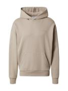 DAN FOX APPAREL Collegepaita 'Sebastian Heavyweight'  taupe