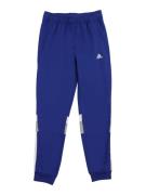 ADIDAS SPORTSWEAR Urheiluhousut 'Tiberio'  sininen / harmaa / valkoine...